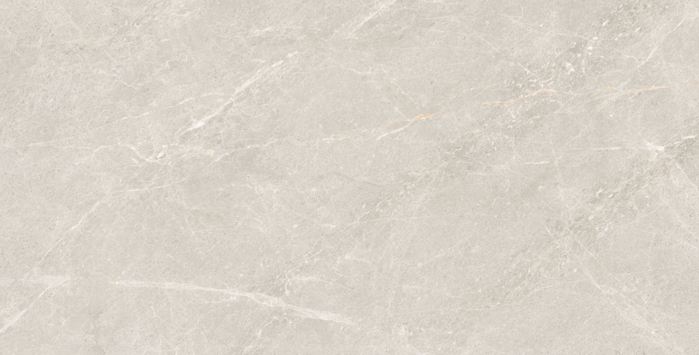 DLG - 54 60X120CM PORCELAIN TILES
