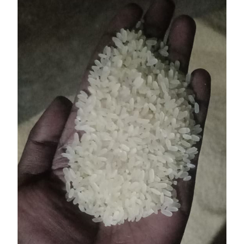 Swarna Masuri Rice - Cultivation Type: Common