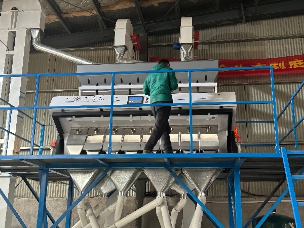 Eight-channel mixed grain sorting machine
