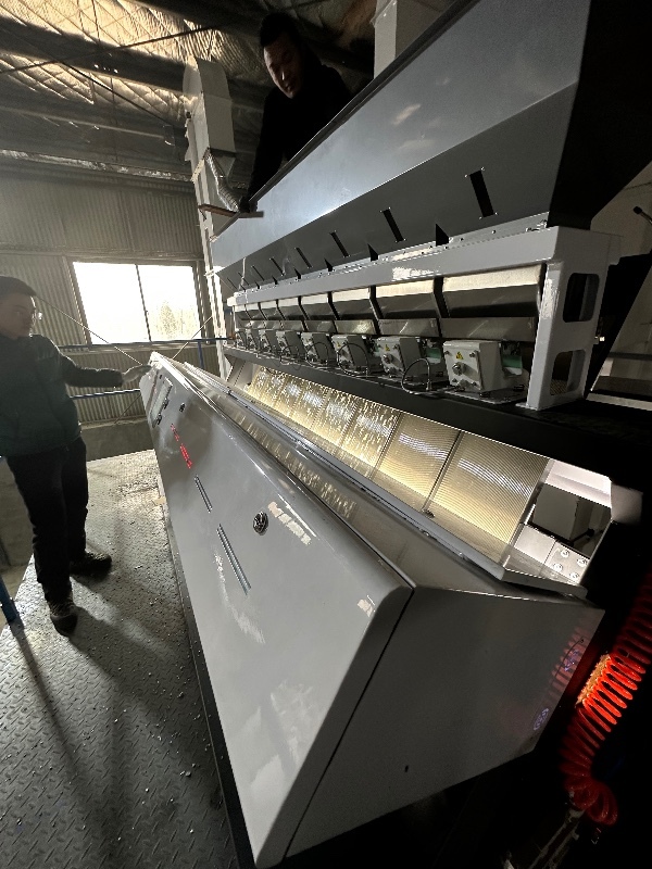 Eight-channel mixed grain sorting machine