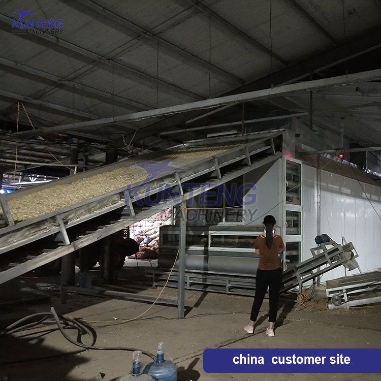 Vegetable dehydrator Onion Machine Production Line