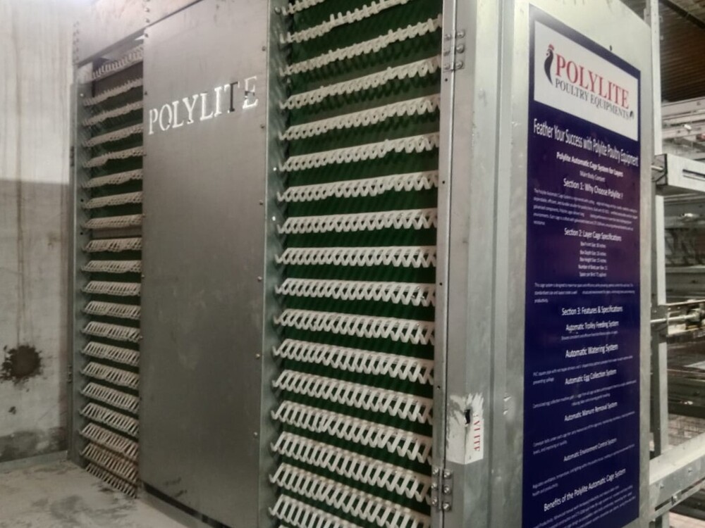 Poultry egg collection system