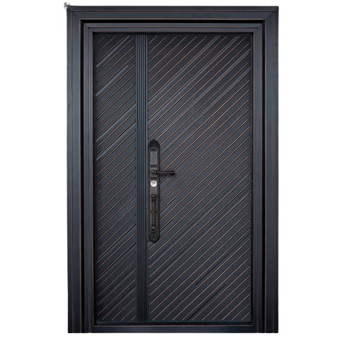 PTR 11 Premium Steel Doors