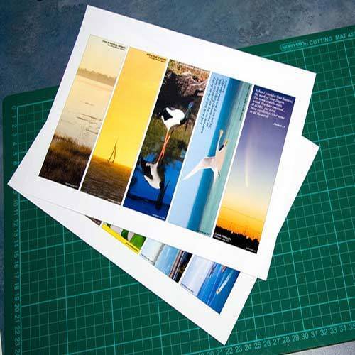 INKJET non Tearable NTR paper