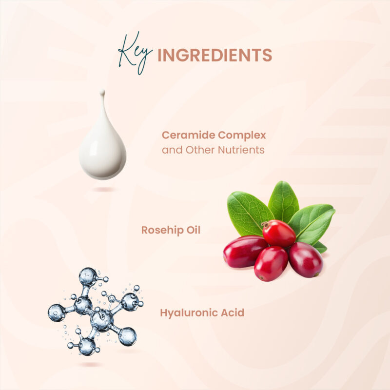 Dhartika Night Cream