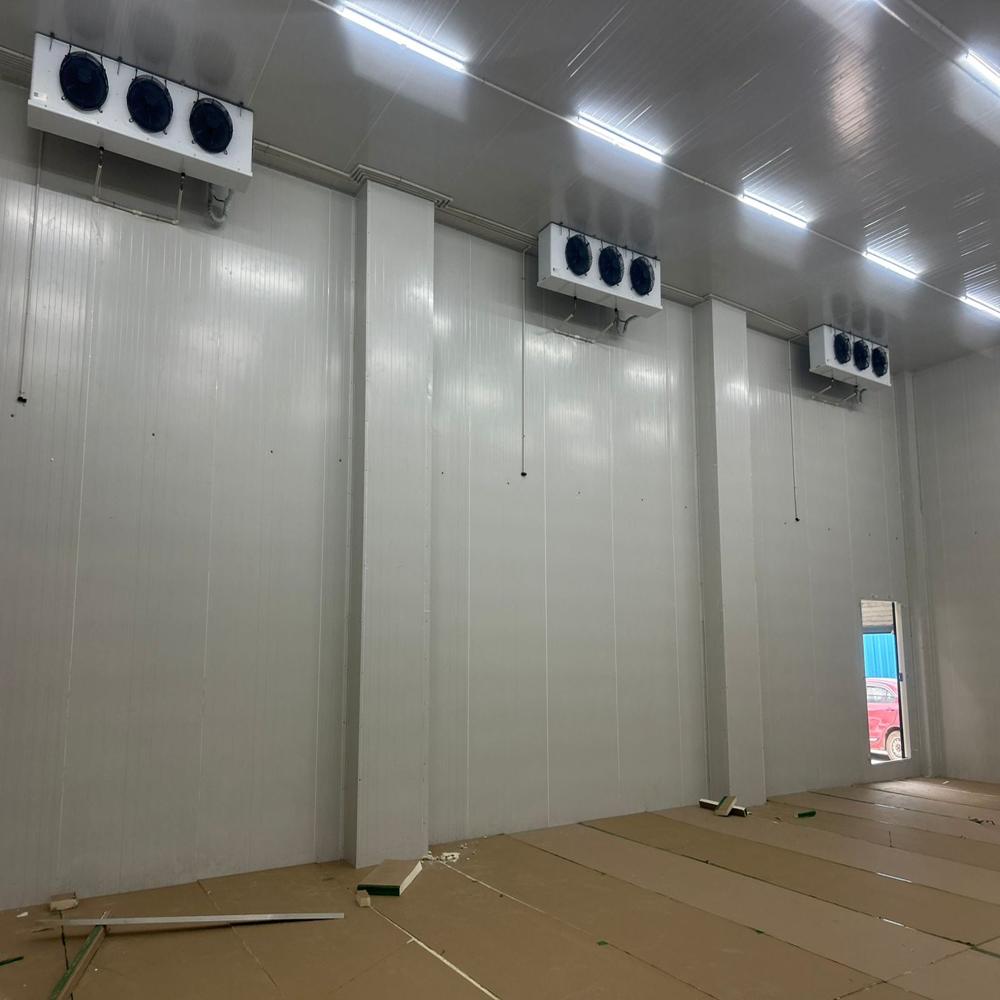 Banana Ripening Cold Room