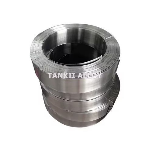 Beryllium Copper Strip CuBe2 Strip