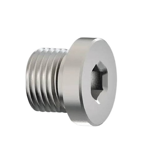 SS Hydraulic Plug
