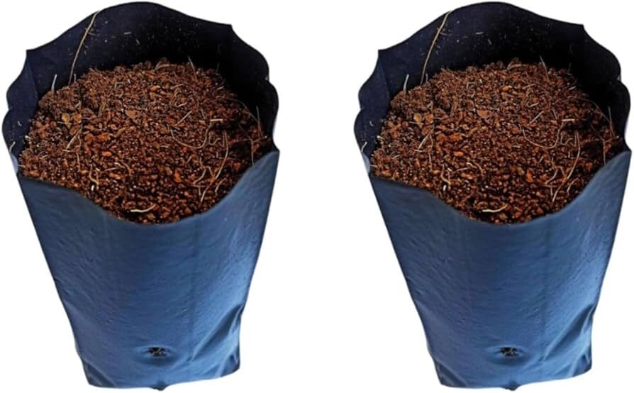Coco Peat Grow Bag