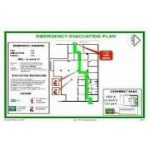 Plant Layout - Color: Multi Color