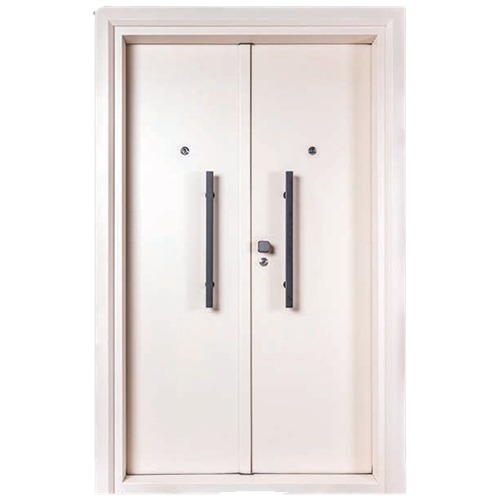 PTR 202 Premium Steel Doors
