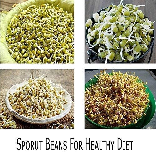 3 Liyer Sprout Maker - Capacity: 500 Milliliters Ltr