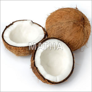 Coconut