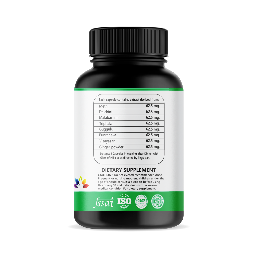 Brahma Fit Advanced Fat Burner And Metabolism Booster