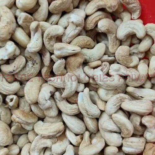 Solitaire DW1 Cashew