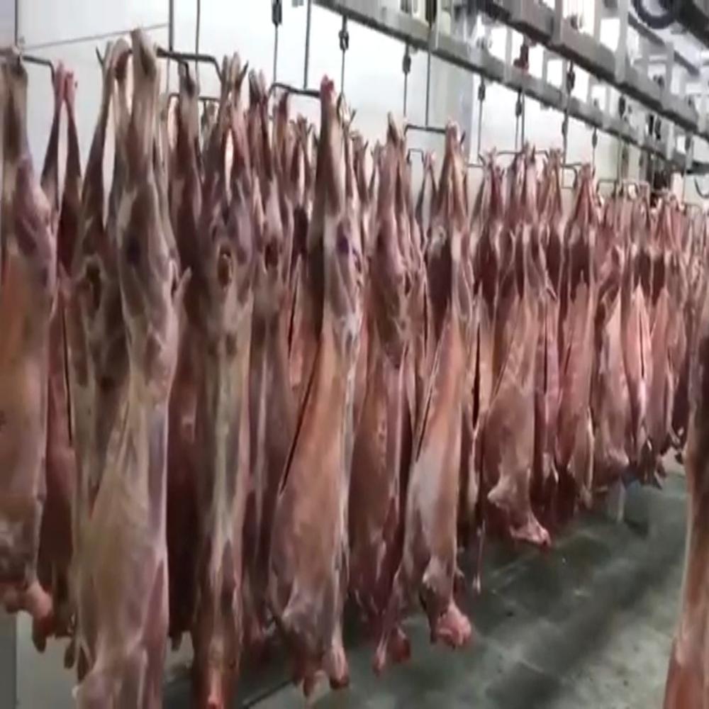 Goat Meat Processing plant 
