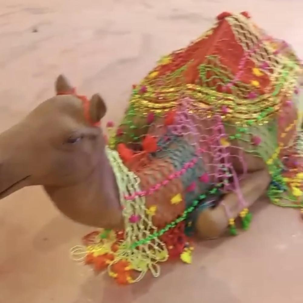 Camel Statue - Application: Decoration