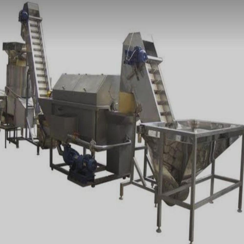 banana powder processing plant 