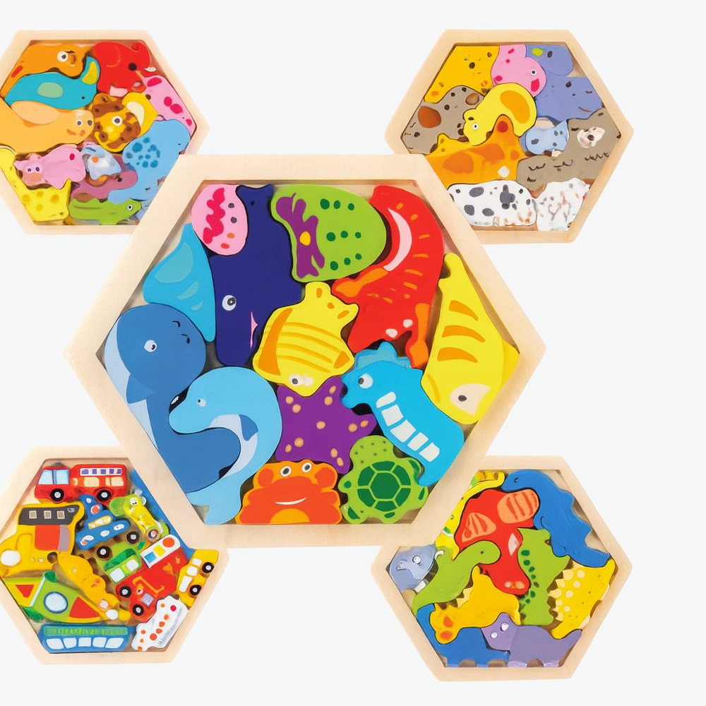 HEXAGON PUZZLE MIX