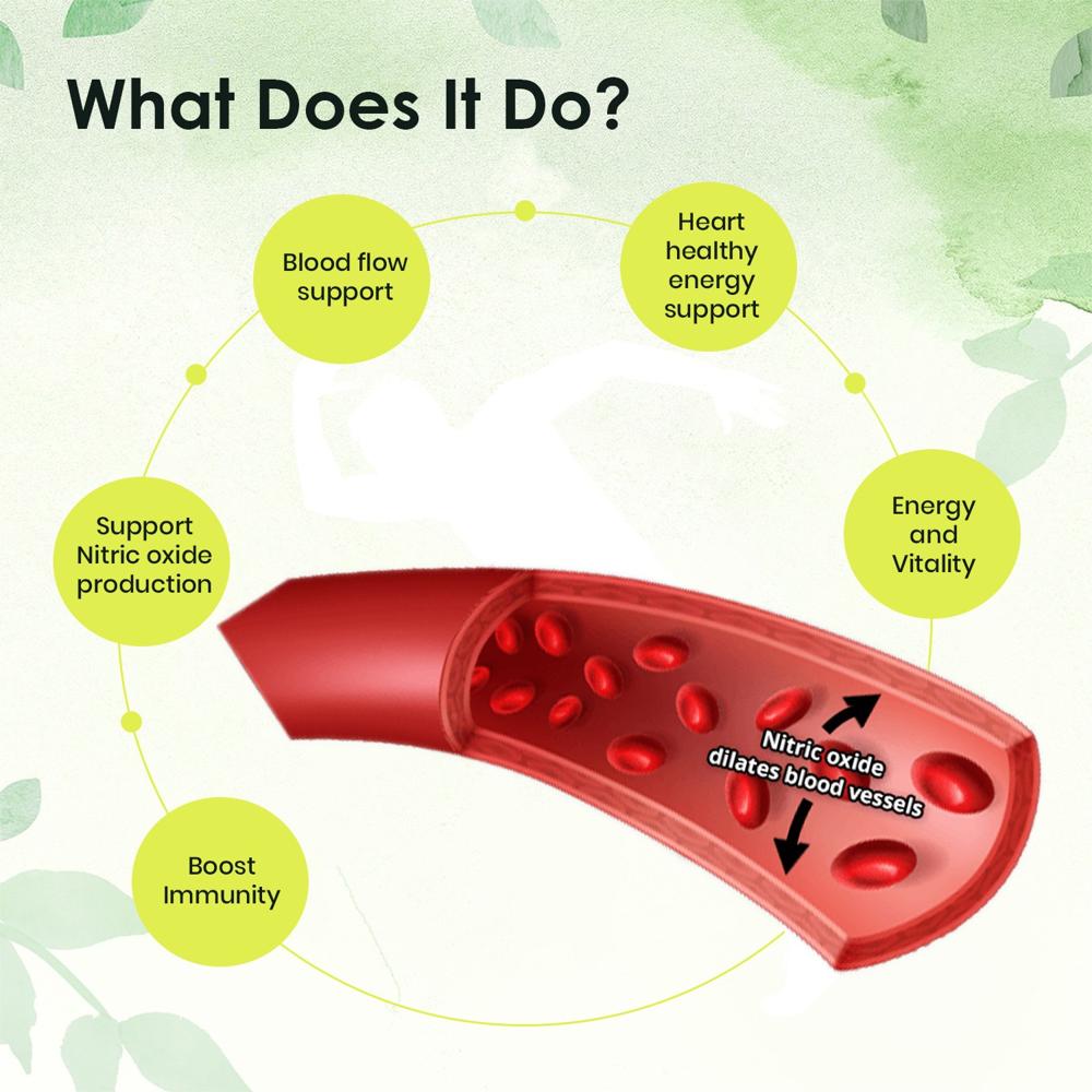 OG99 ShilajiNOx Pure Shilajit Infused With Naturals Nitric Oxide Boosters