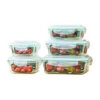 GBI-4158 5 In 1 Container Set