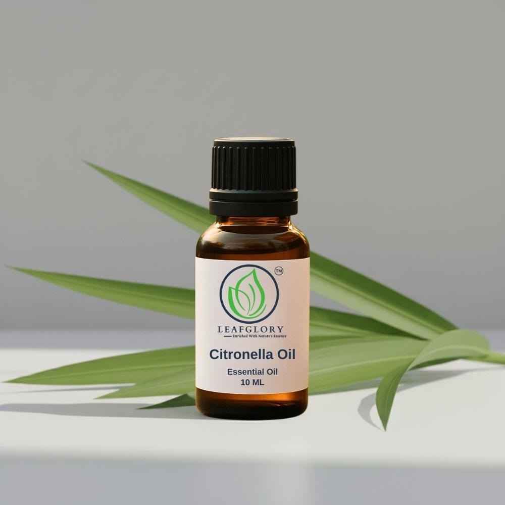Citronella Essential Oil Pure & Natural Java & Ceylon Types for natural insect repellent, Cleaning, Fragrance, Perfumery, Aromatherapy & Cosmetic Grade | Organic Mosquito Repellent | Wholesale manufacturer & Exporter from India