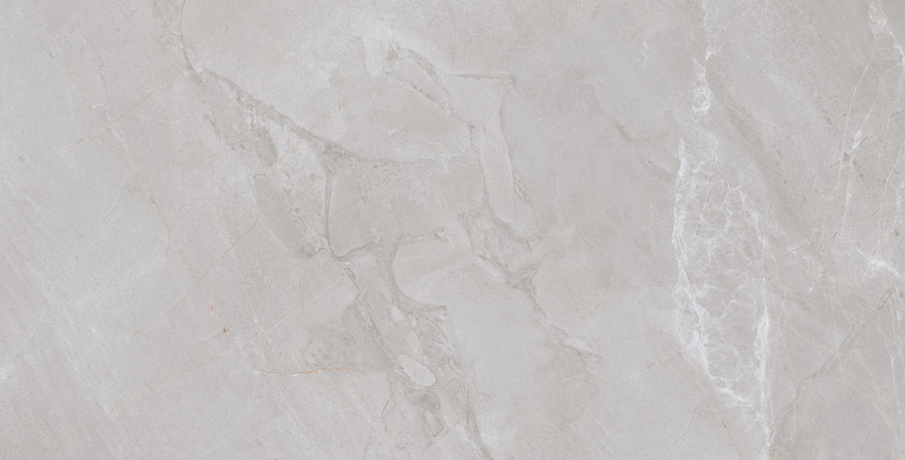 DLG - 57 60X120CM PORCELAIN TILES