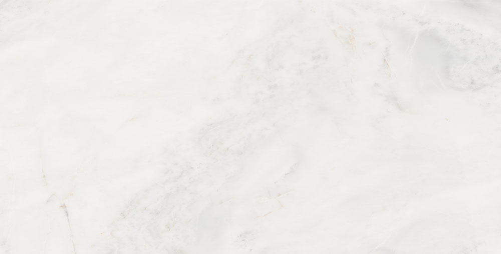 DLG - 59 60X120CM PORCELAIN TILES