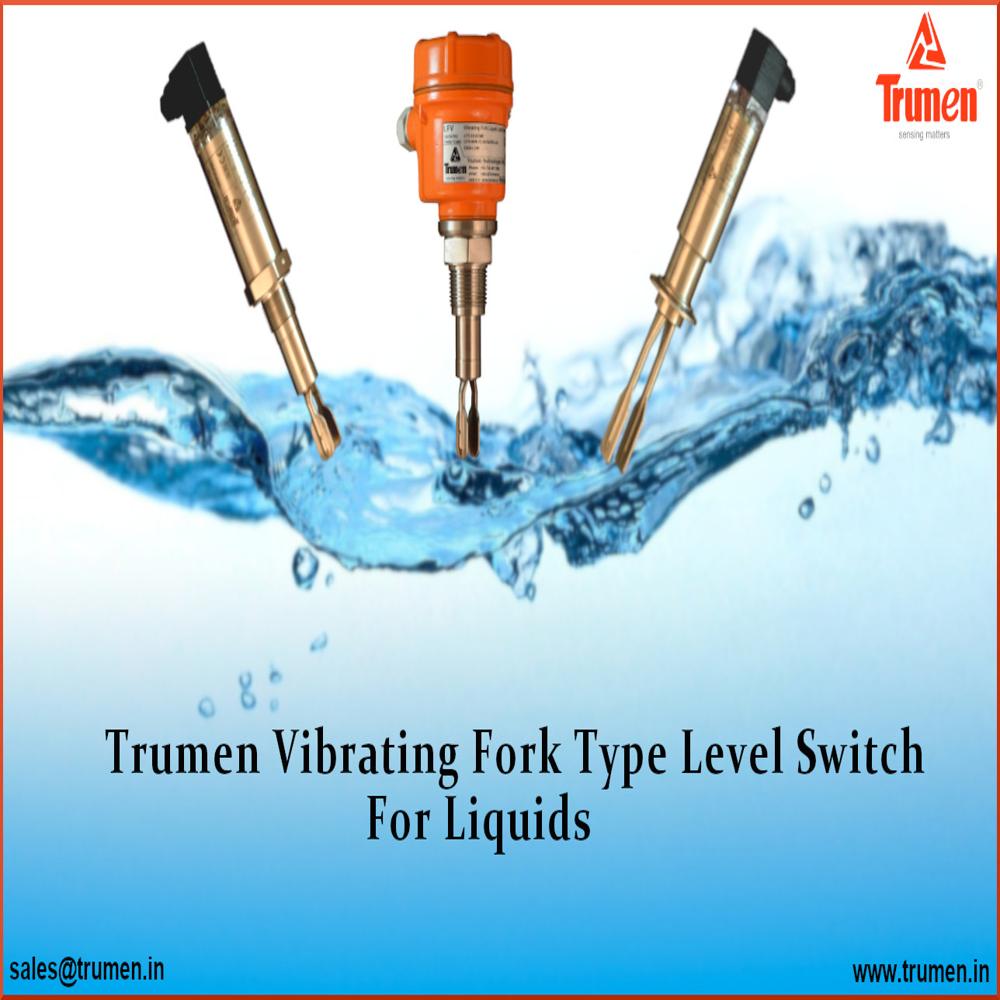 Compact Vibrating Fork Point Level Switch