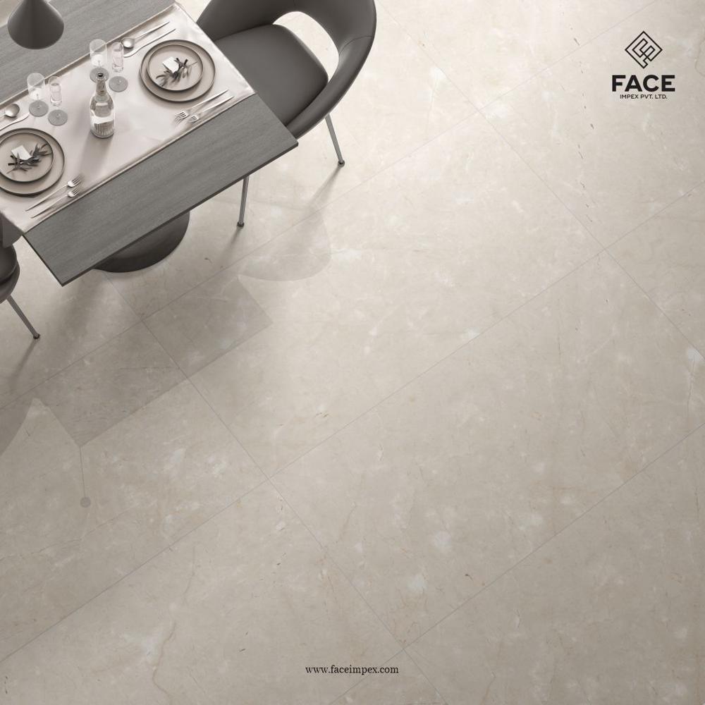 DLG - 61 60X120CM PORCELAIN TILES