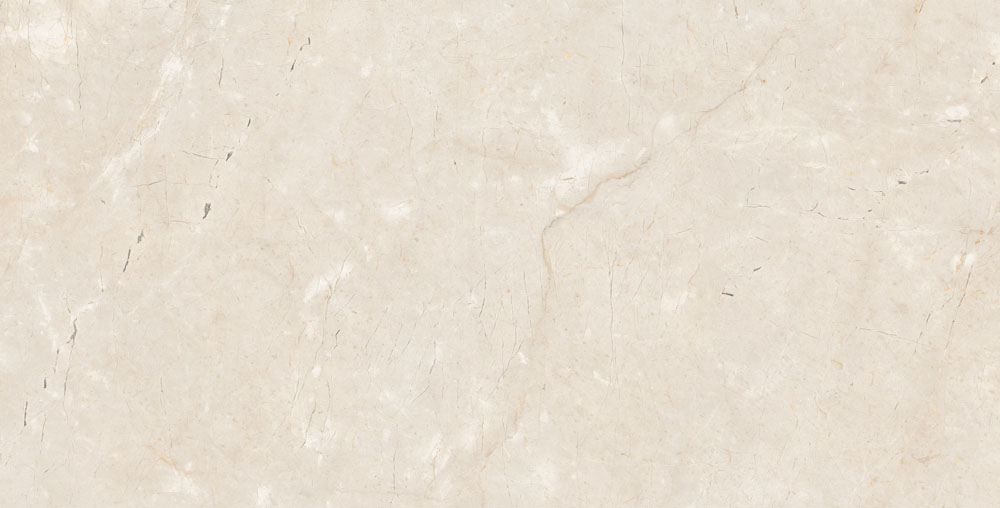 DLG - 61 60X120CM PORCELAIN TILES