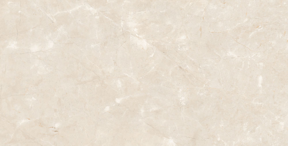 DLG - 61 60X120CM PORCELAIN TILES