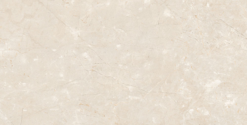 DLG - 61 60X120CM PORCELAIN TILES