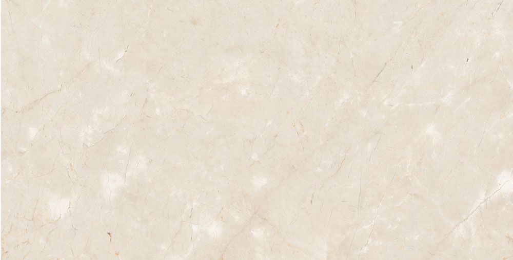 DLG - 61 60X120CM PORCELAIN TILES