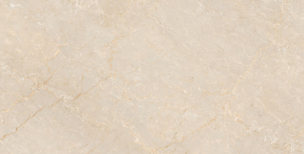 DLG - 63 60X120CM PORCELAIN TILES