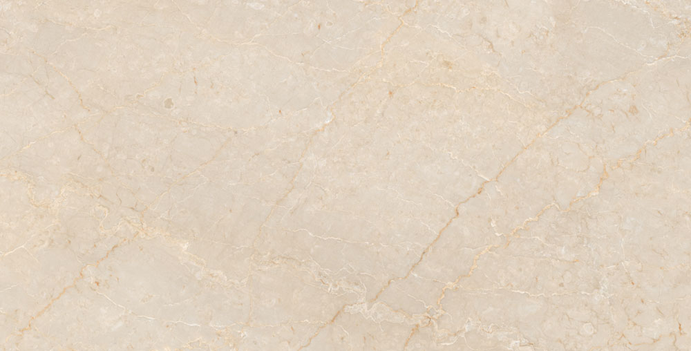 DLG - 63 60X120CM PORCELAIN TILES