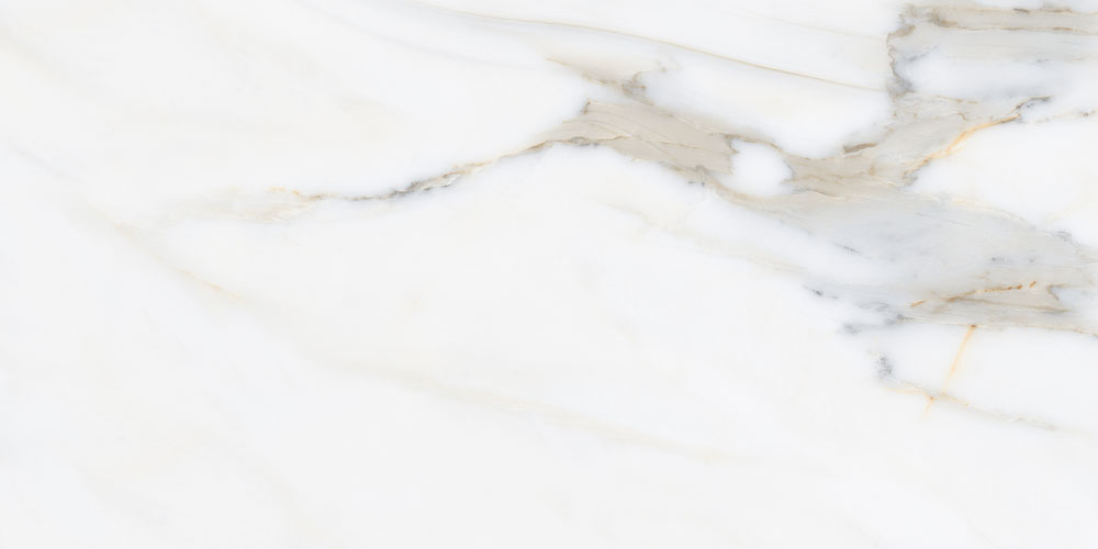 DLG - 64 60X120CM PORCELAIN TILES