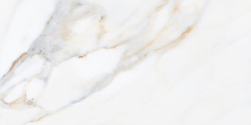 DLG - 64 60X120CM PORCELAIN TILES