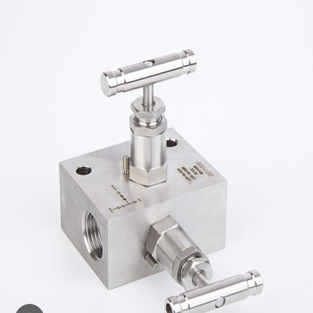 Stainless Steel 2 Way Manifold Valves