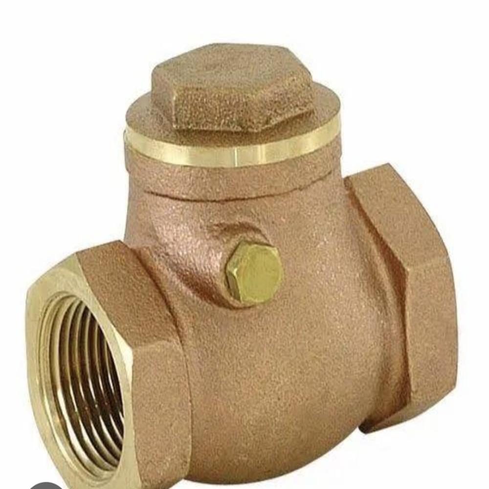 200 mm Brass Check Valve