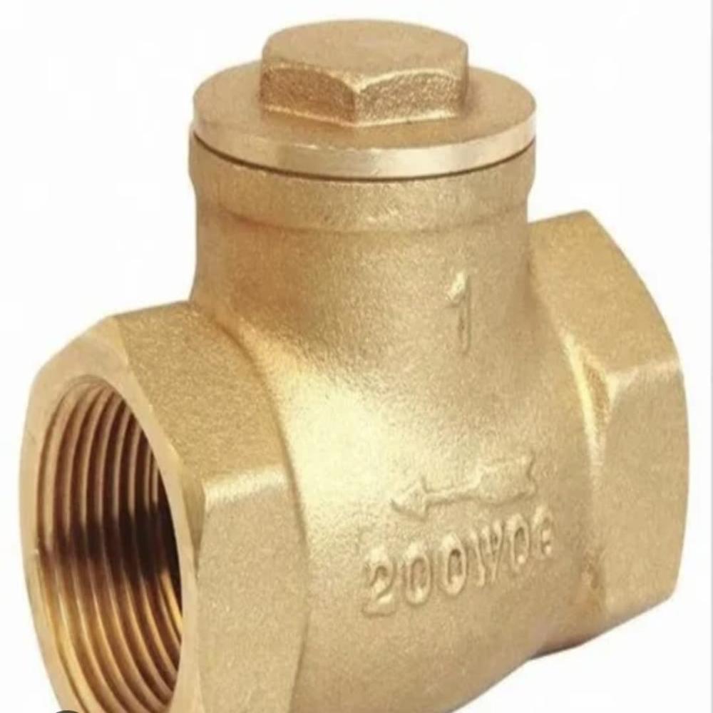 200 mm Brass Check Valve