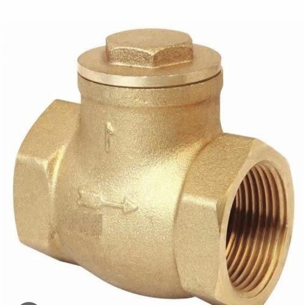 200 mm Brass Check Valve