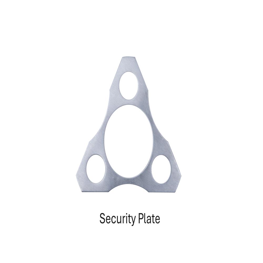 Security Plate - Color: Silver