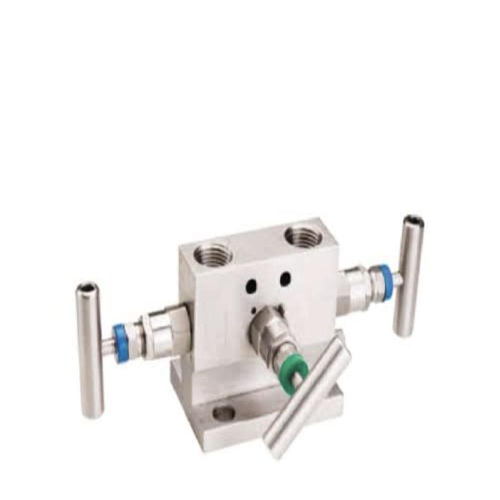 01_Ss 3 Way Manifold Valve