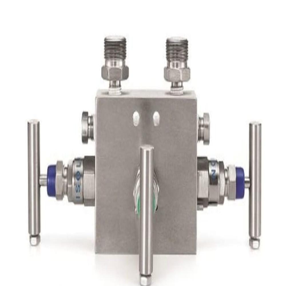 01_Ss 3 Way Manifold Valve