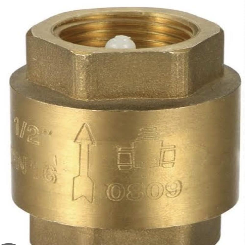 Check Valve - Application: Process Industries Like-chemical