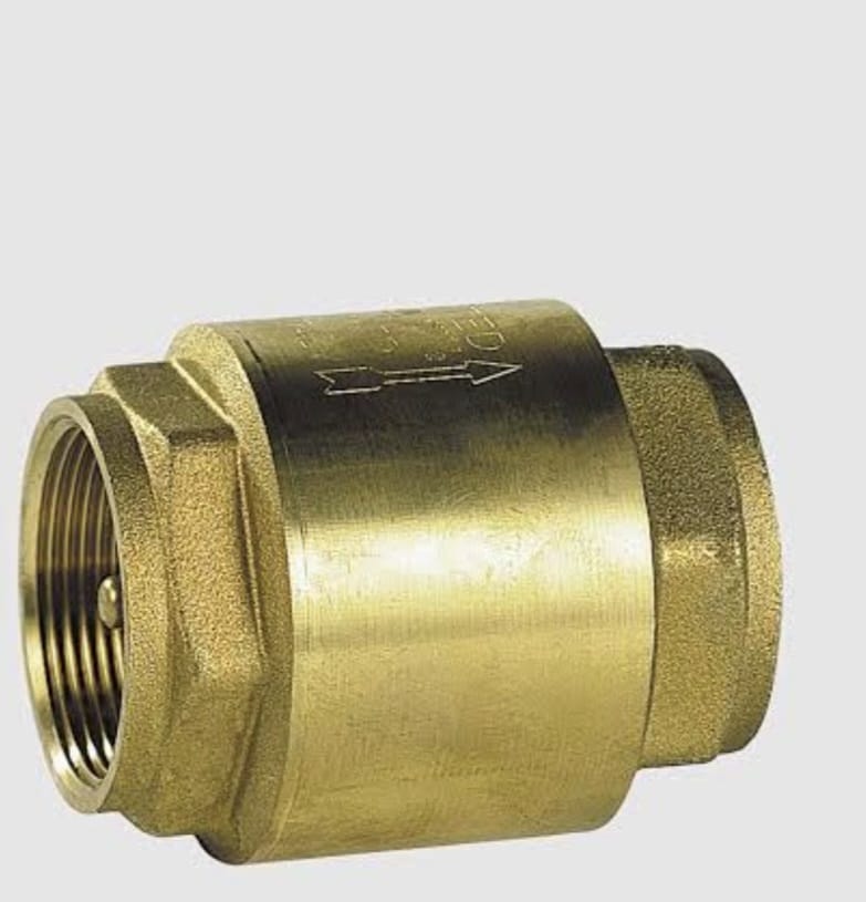 Check Valve - Application: Process Industries Like-chemical