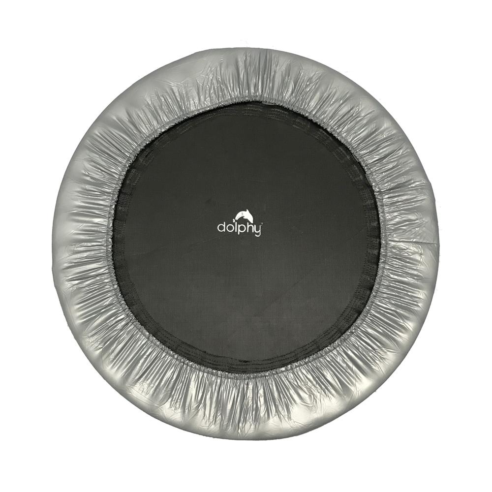 Dolphy Indoor/Outdoor Trampoline (40 Inches, Silver and Black)