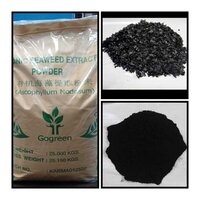 Seaweed Extract Powder