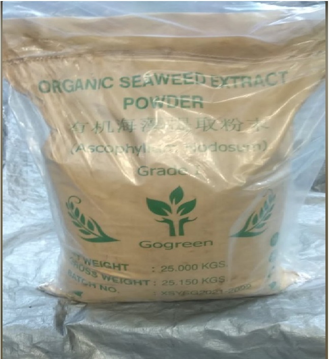 Seaweed Extract Powder